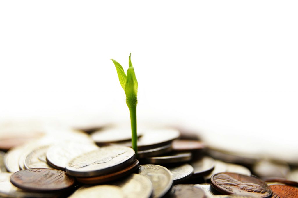 growth in money